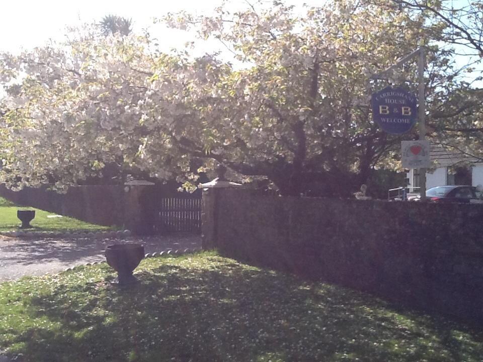 לינה וארוחת בוקר מידלטון Carrigshane House מראה חיצוני תמונה